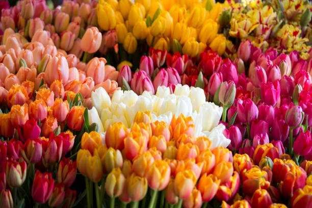 flowers in pike place seattle